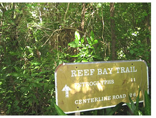 Reef Bay Trail