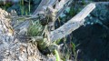 st-john-usvi_0041