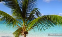 st-john_island